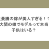貴景勝の嫁が美人すぎる！？元大関の娘でモデルって本当？子供はいる？