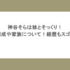 神谷そらは妹とそっくり！兄弟構成や家族について！経歴もスゴすぎる
