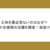 王林を最近見ないのはなぜ？年収や全盛期の活躍を調査！垢抜けた？