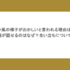 藤井風の様子がおかしいと言われる理由は？英語が話せるのはなぜ？生い立ちについても